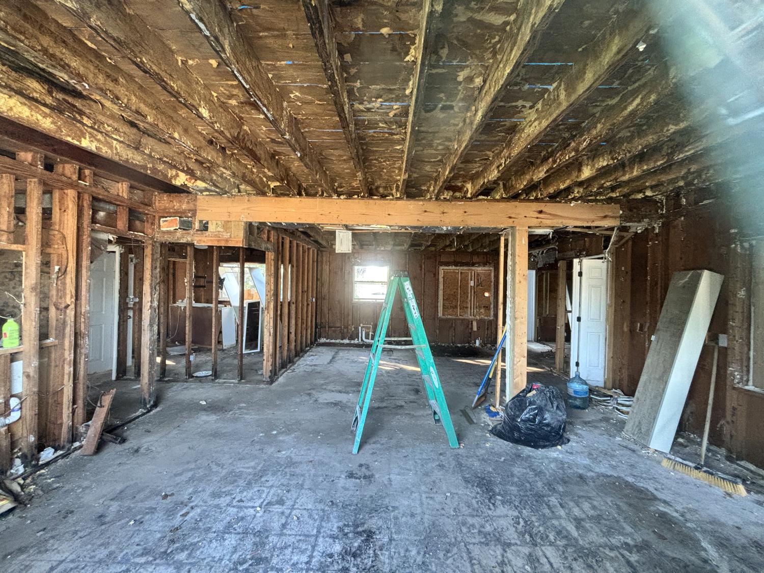 Whole-home interior demolition gutted to the framing in Tampa Bay